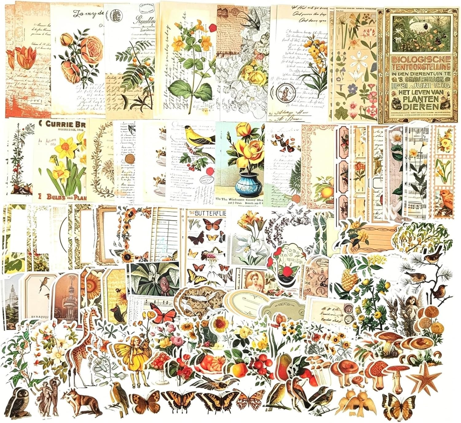 Esweny 200PCS Vintage Scrapbooking Supplies Kit for Journaling, Junk Journal Planners Aesthetic Cottagecore Ro - view 13